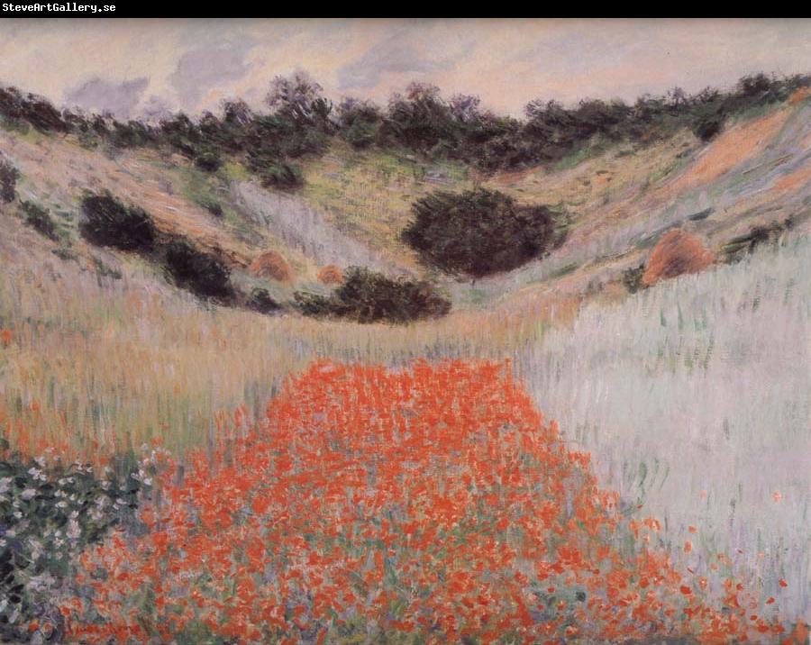 Claude Monet Poppy Field in a Hollow Near Giverny